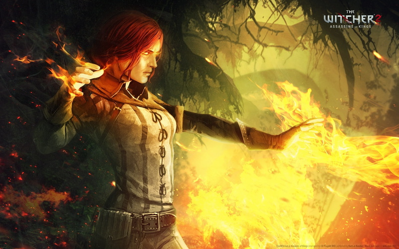 The Witcher 2: Assassins Of Kings, 1080P, The Witcher