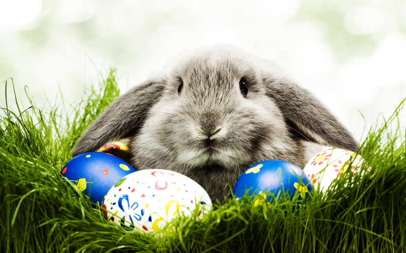 vacation, eggs, holiday, 2K, bunny, easter, decor