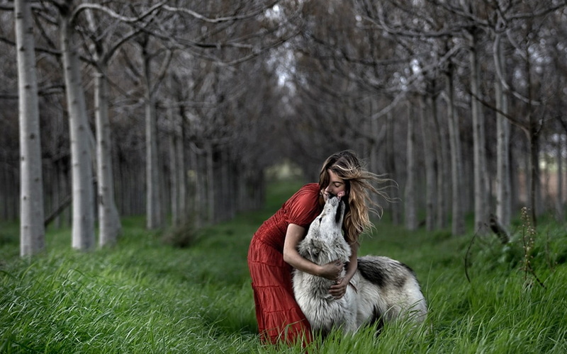 grass, animal, day, long hair, red dress, 720P, tree, women, forest, leisure activity, mammal, young women, hair, field, plant, animals, nature, woodland