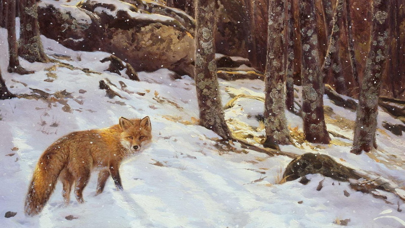 fox, baby fox, puppy, red fox, woods, 1080P, animals, wildlife, little, wolf, nature, snow, big