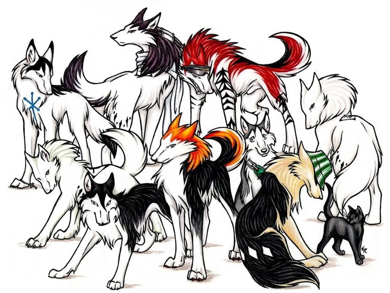 mammal, Bleach, white background, art and craft, creativity, pack, domestic animals, 480P, furry, painting, studio shot, people, domestic, group of animals