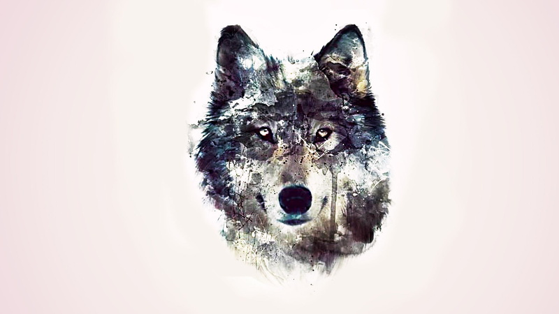 background, abstract, wolves, wolf, eyes, abstraction, 1080P