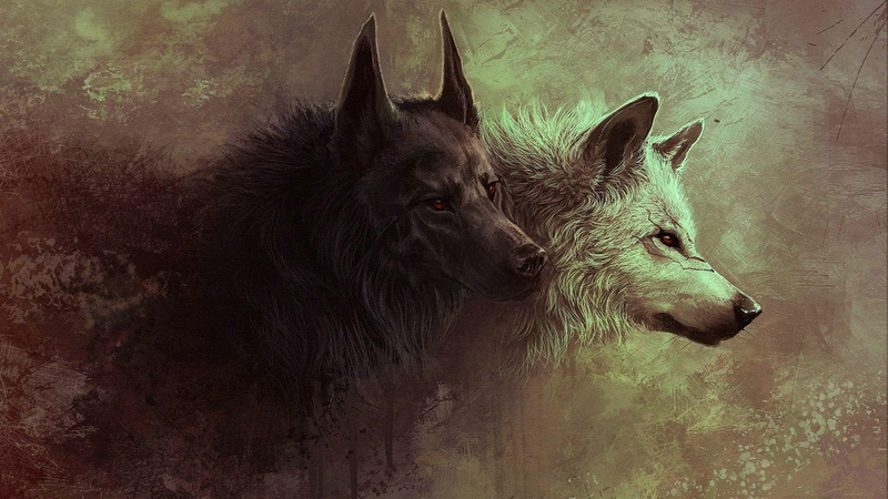 1080P, wolf, wolves, artwork, art