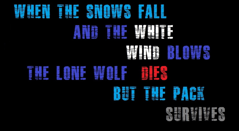 Typography, black, illuminated, close-up, computer, Artistic, device screen, finance, electrical equipment, death, black background, screen, wolf, no people