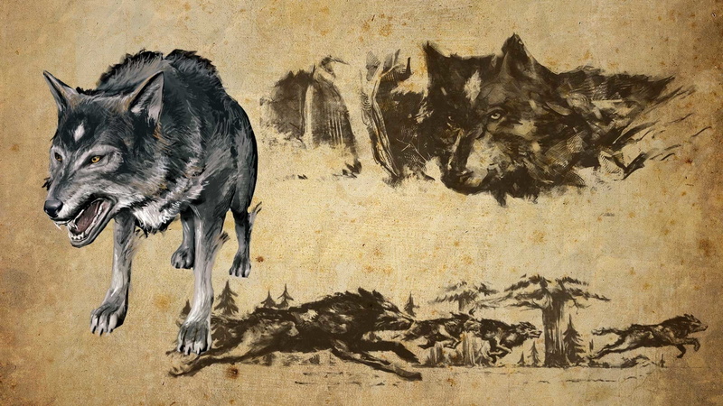 Concept Art, 1080P, Wolf, Joe Devers Lone Wolf HD Remastered, Video Game