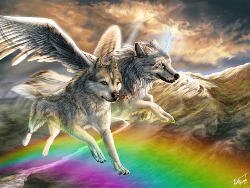 painting, friendship, animal wildlife, nature, fur, no people, pets, sunlight, carnivore, 5K, wolf, gray Wolf, vertebrate, wings, two animals, winter