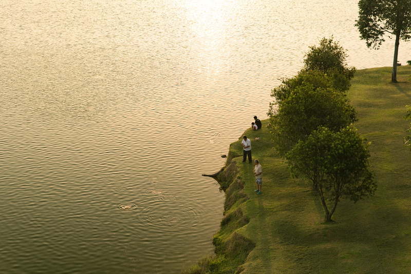sunset, people, kepong, 5K, lifestyles, trees, lake, beauty in nature, plant, two people, land, real people, adult, high angle view, water, kuala lumpur