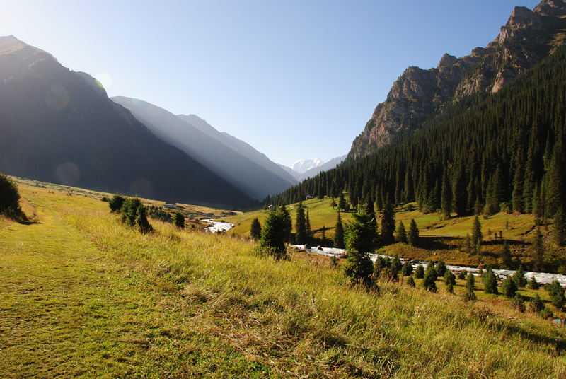 arashan, kyrgyzstan, forest, trees, 4K, altyn, green, Mountain, Altyn Arashan Kyrgyzstan, Nature, leaf, river, Karakol