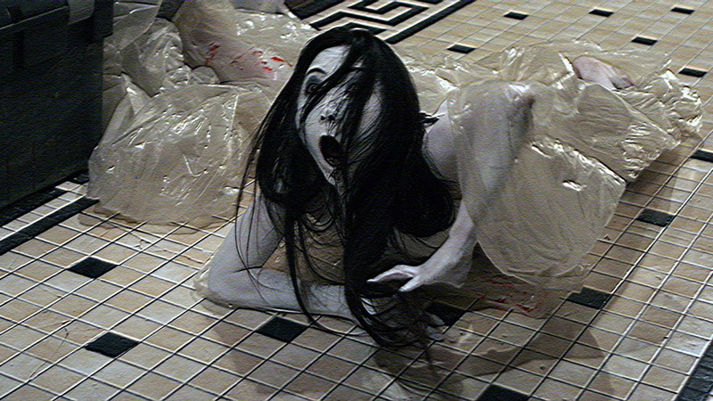 bunshinsaba, ghost, grudge, film, ring, horror, movie, thriller, 720P, evil, scary, rings, kayako, macabre, poster, halloween, ringu, sadako, supernatural
