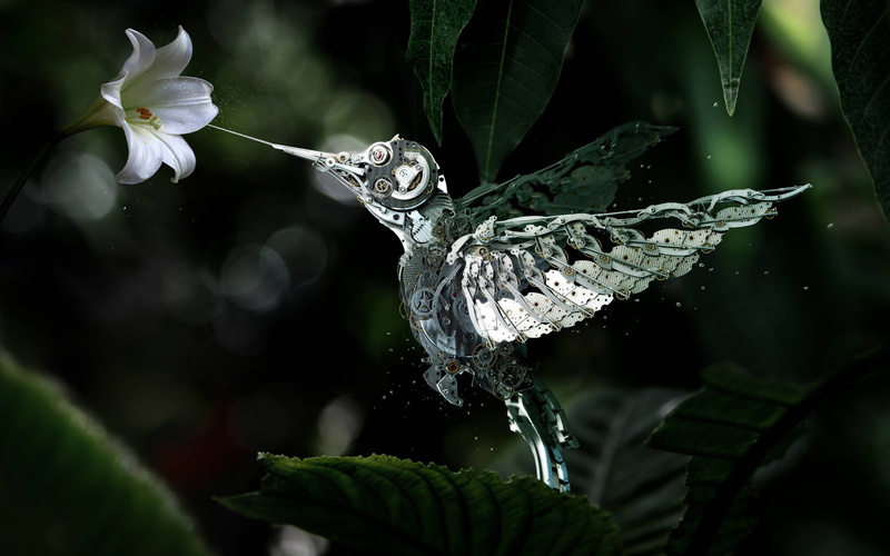 tag, Colibri, Advertising, Heuer, 2K