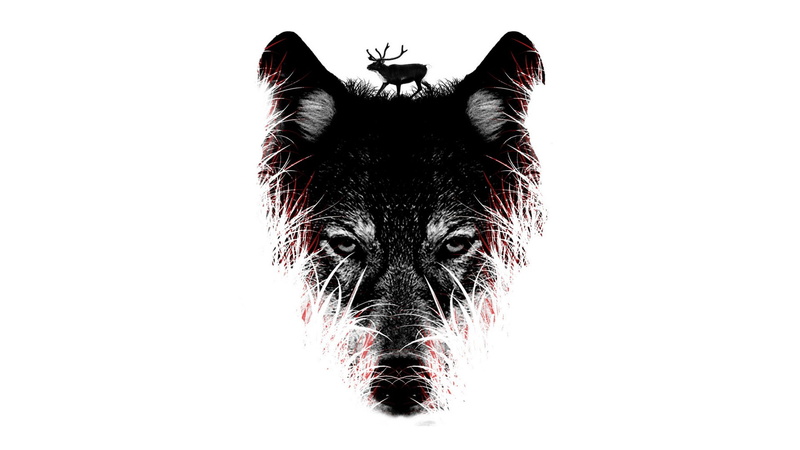 hd, 1080P, white, digital/artwork, wolf