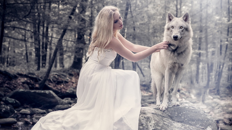 tree, beautiful woman, woodland, hair, domestic, 1080P, young adult, wolf, canine, photography, one animal, white dress, mammal, adult, fashion, nature