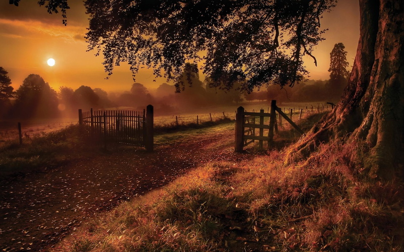 1080P, autumn, sunsets, nature and landscapes, nature, sunset, country