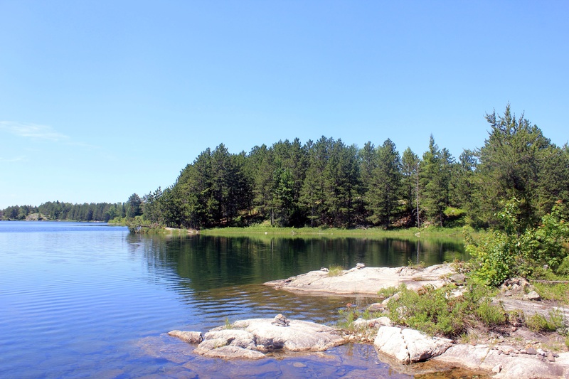 idyllic, pine, body, forest, plant, reflection, nature, growth, no people, voyageurs national park, shoreline, sky, near, tree, beauty in nature, tranquility