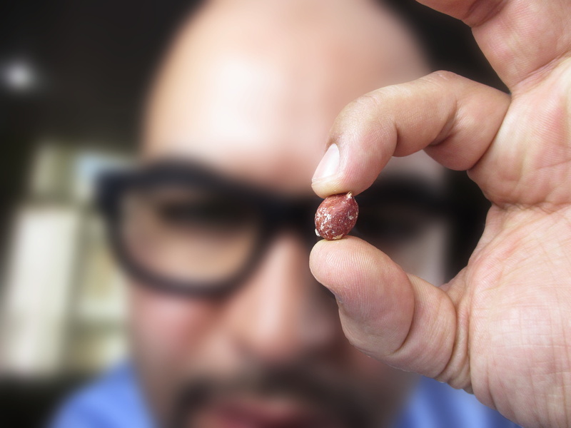 index, inches, close-up, ok, round, finger, selective focus, hand, sunglasses, outdoors, fingers, colors, lifestyles, look, peanut, photography, adult