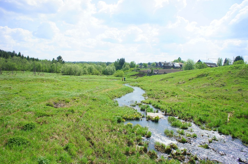 landscape, tree, nature, stream - flowing water, grass, green, land, tranquility, no people, river, growth, field, tranquil scene, green color, ok, flowing