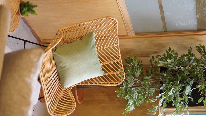 high angle view, plant part, indonesia, rework fx, home, coworkingspace, window, 5K, chair, seat, no people, houseplant, day, lifestyles, mood, potted plant
