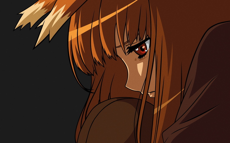 vertebrate, Okamimimi, animal wildlife, orange color, no people, beauty in nature, sunlight, 1080P, low angle view, flying, Spice and Wolf, animal, clear sky