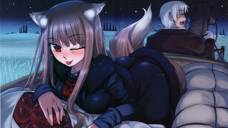 Holo, Lawrence Kraft, 1080P, anime girls, anime, Okamimimi, Spice and Wolf