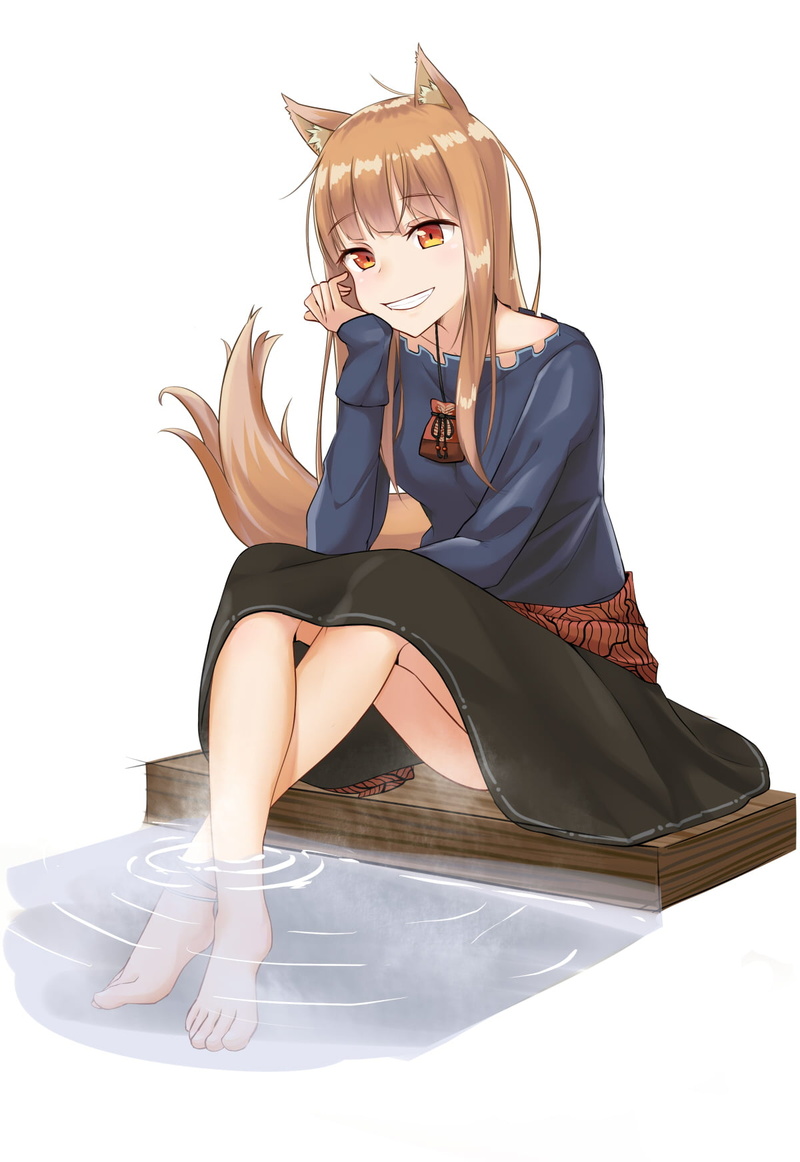 Holo (Spice and Wolf), 2D, animal ears, fan art, digital art, brunette, tail, wolf ears, vertical, anime girls, Holo, simple background, black skirts, orange eyes