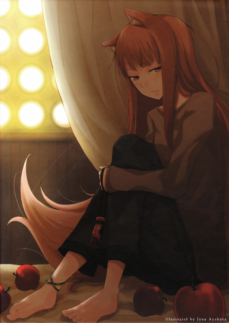 wise, wolf, 4K, animal, spice, ears, holo