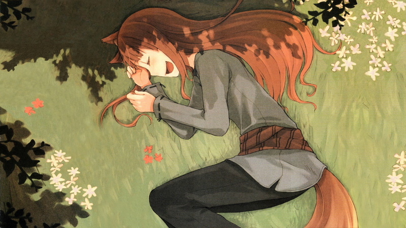 Spice and Wolf, anime girls, green color, sport, indoors, floral pattern, adult, plant, jeans, real people, lifestyles, Holo, day, one person, full length