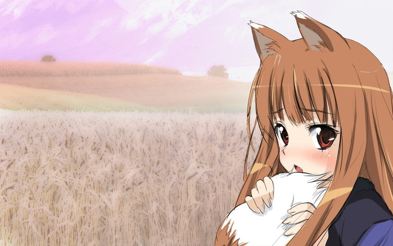real people, field, outdoors, day, land, Okamimimi, grass, representation, transportation, wolf girls, sunlight, plant, nature, one person, anime girls