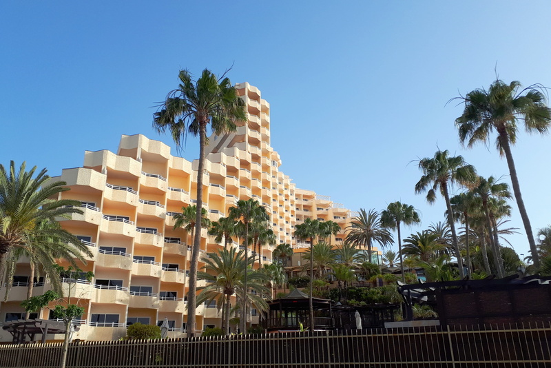 nature, palm tree, hotel, city, skyscraper, summer, architecture, tropical climate, low angle view, grancanaria, hotel complex, sky, no people, vacations