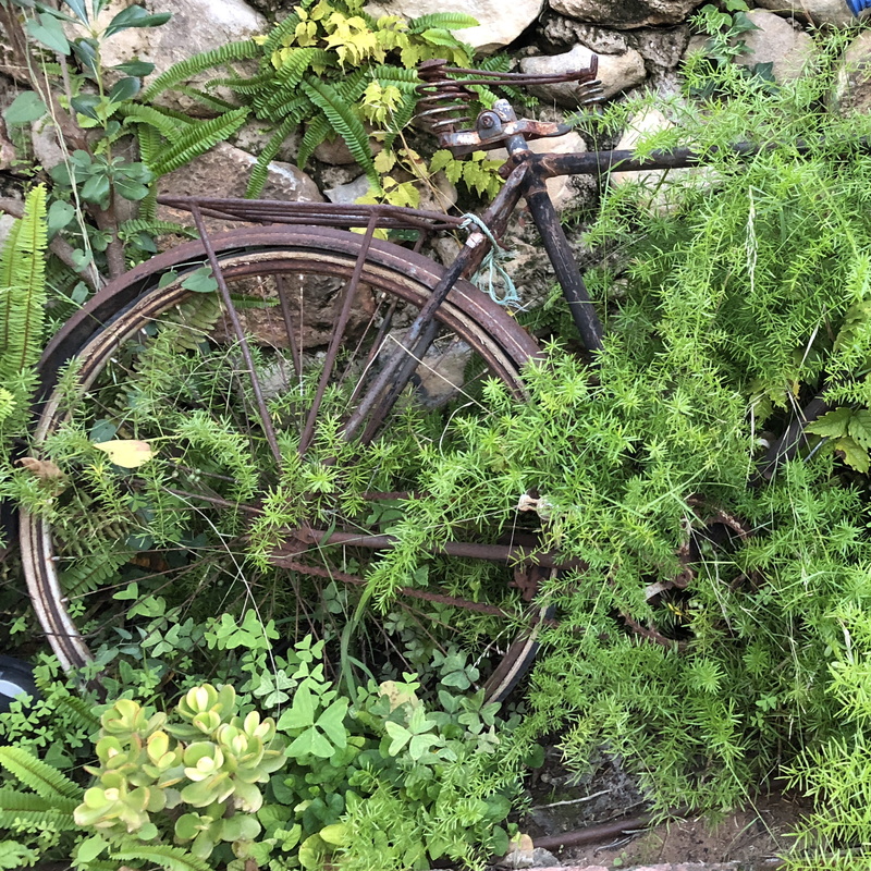 green color, land, outdoors, málaga, obsolete, transportation, plant part, damaged, plant, abandoned, bike, mode of transportation, spain, nature, retro