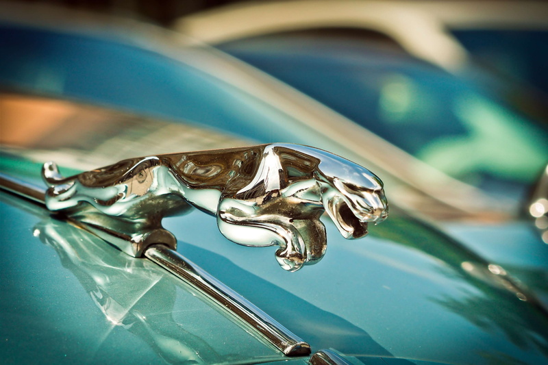 land vehicle, nostalgia, restored, nostalgic, chrome, fig, oldtimer, blue, auto, focus on foreground, luxury car, jaguar xk, silver colored, automotive