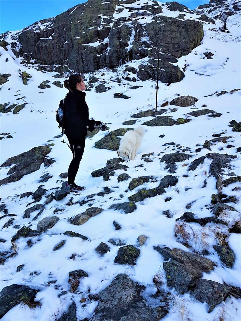 4K, lifestyles, hike, winter, nature, vertebrate, day, bergen, ulriken, johan blytts vei, girl, snow, mountain, beauty in nature, leisure activity, clothing