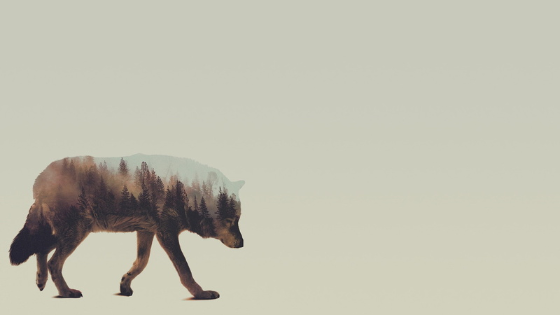 vertebrate, copy space, full length, double exposure andreas lie animals, studio shot, standing, white background, walking, representation, animal representation