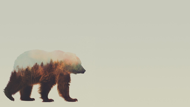 copy space, side view, no people, vertebrate, walking, white color, mammal, 1080P, polar bear, elephant, standing, nature, animal wildlife, double exposure andreas lie animals