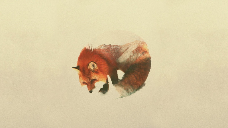 1080P, double exposure andreas lie animals