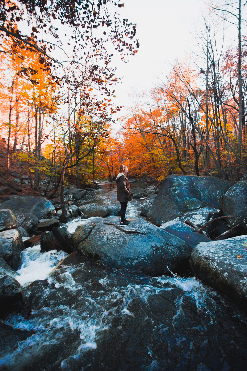 rock, change, river, warwick county park office, tree, waterfall, stream, rock - object, real people, creek, warm clothing, water, human, daytime, standing