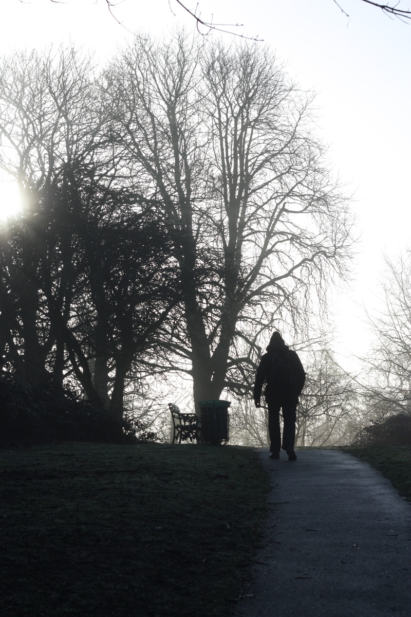 full length, nature, silhouette, tranquility, land, united kingdom, bare tree, rear view, 4K, real people, men, warwick, leisure activity, day, plant