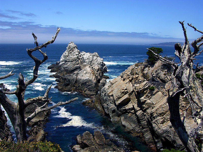 ocean, california, rocks, point lobos, beach, dead plant, sunlight, sky, 1080P, rock, coast, rock formation, tranquility, no people, nature, water, tree