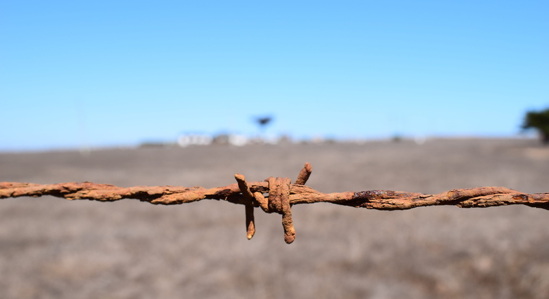 metal, selective focus, dead plant, beauty in nature, nature, day, rusty, sunny, plant, 5K, sunlight, clear sky, wire, focus on foreground, water, punta de lobos
