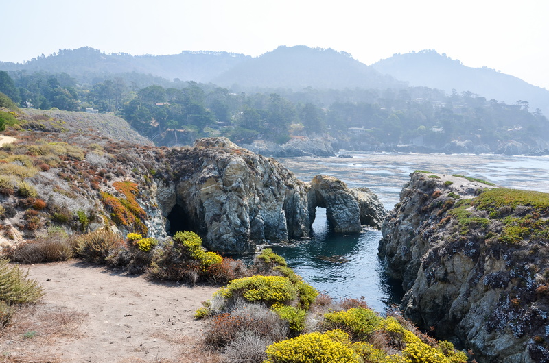 day, tranquil scene, flowing water, america, tree, solid, 4K, water, pacific coast, summer, plant, usa, scenics - nature, china cove, mountain, photography