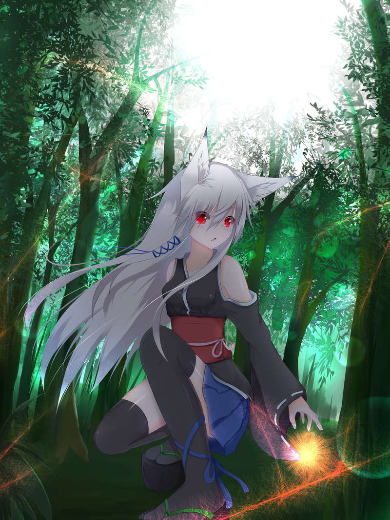 red eyes, trees, anime, 2K, anime girls, kitsunemimi, skirt, forest, white hair, stockings, animal ears, tail, long hair