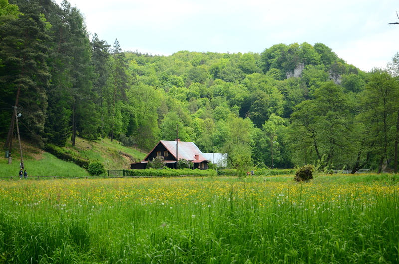 grass, cottage, field, meadow, tranquility, growth, no people, poland, land, outdoors, non-urban scene, valley, sky, plant, landscape, architecture, built structure