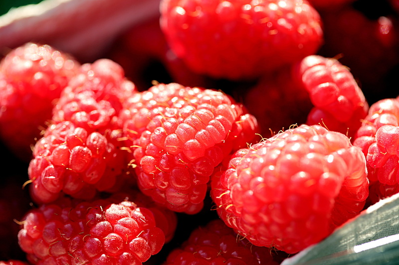 poland, cottage, abundance, food and drink, wellbeing, bush, colors, yellow, raspberry, green, monument, red, tourism, ripe, shrubbery, blurry, dawn, still life