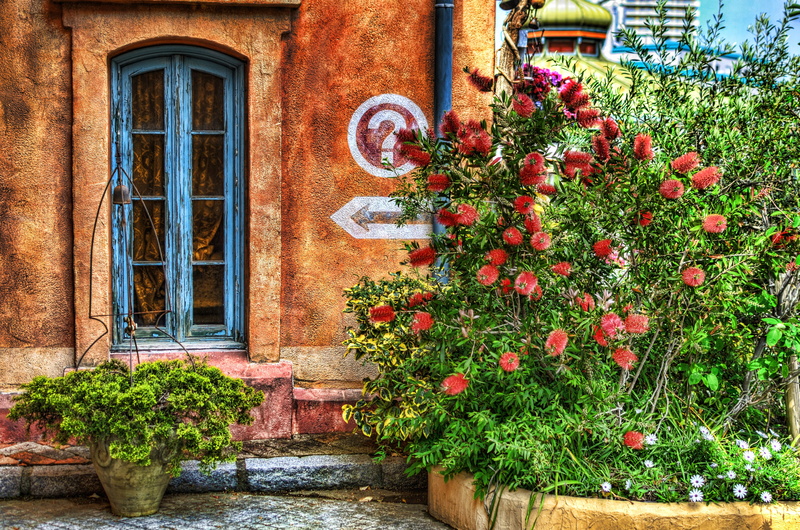 residential district, spring, entrance, no people, shrubbery, day, cafe, landscape, door, building, in the early summer, street corner, window, green color