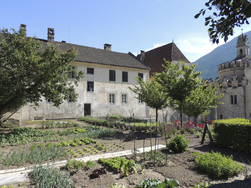 hedge, growth, monastery, nature, real people, garden, trees, green color, men, city, sunlight, building exterior, water, tree, residential district, incidental people