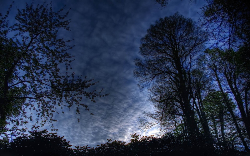 beauty in nature, night sky   and screensavers, tranquil scene, blue, no people, dusk, low angle view, outdoors, night, tranquility, nature, scenics - nature