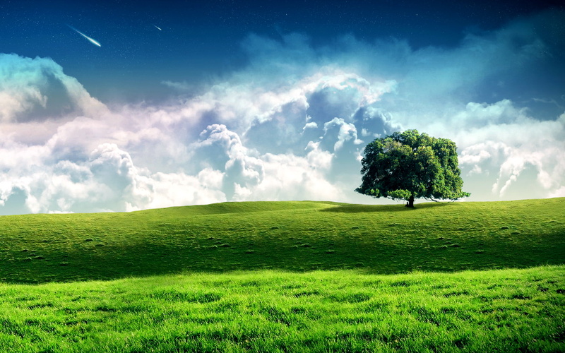 tree, clouds, hd, nature, field, 720P, comet