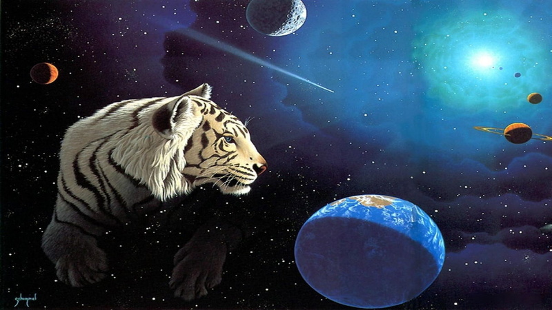space, schimmel, 3d and abstract, planets, artwork, tiger, 1080P, comets