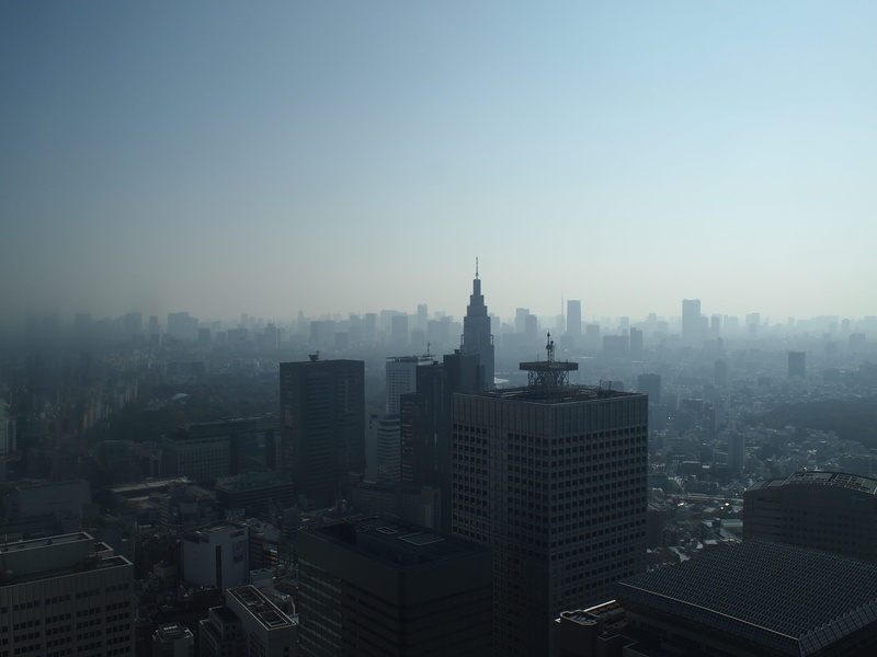buildings, urban, office building exterior, pollution, crowd, scenic, rise, downtown, nature, tower, skyscraper, city, sky, morning, outdoors, modern, metropolis