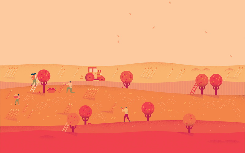 nature, group of people, real people, clear sky, bird, vertebrate, copy space, red, google, large group of animals, outdoors, october, art, sky, animal
