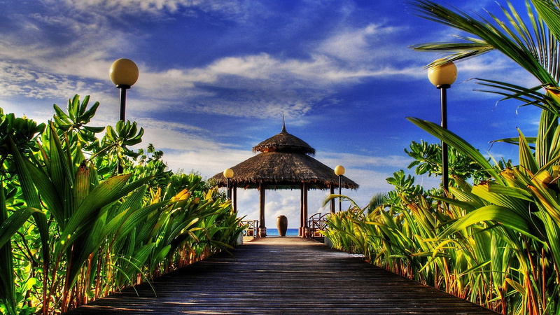 palm tree, tropical climate, nature, growth, Paradise, outdoors, hdr, plant, sky, architecture, cloud - sky, no people, belief, direction, building, tree